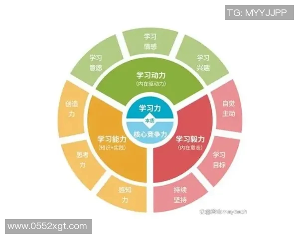 探索vs与bb之间的复杂关系及其对个人成长的影响