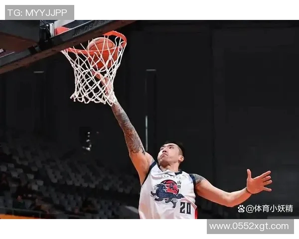 陶汉林:从篮球场上的拼搏者到社会公益的积极推动者的华丽转身 陶汉林:从篮球场上的拼搏者到社会公益的积极推动者的华丽转身