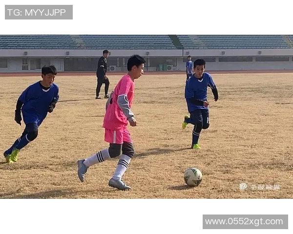 平顶山足球比赛直播今日精彩对决全程回放与赛后分析尽在这里